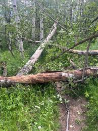 Oak Creek Mountain Park