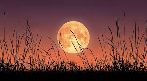 Полнолуние — опасный день, но 24 июля нас ожидает вдвойне опасный период. Ykosbeflpaqcam