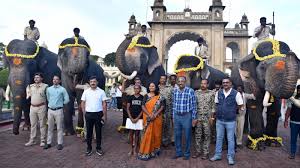 Second batch of five Dasara Elephants arrive at Mysuru Palace premises