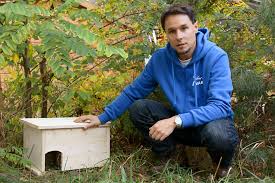 Ganz schnell und super einfach! Mission Grun Episode 2 Igelhaus Bauen Nabu