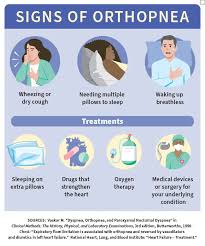 Image result for Orthopichonia