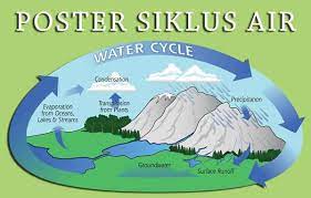 Dalam proses siklus hidrologi atau siklus air, terdapat beberapa istilah. 30 Poster Siklus Air Serta Penjelasannya Kuliah Desain