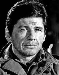 Dogs reenacting The Great Escape movie