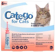 Catego For Cats Flea Treatment Cat Skin Fleas