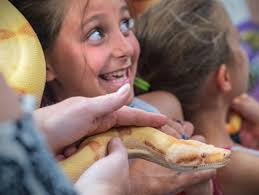 Lizard Lady shares love of reptiles with children in Potsdam program