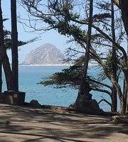 Chorro group camp can accommodate groups from 9 to 35 with up to 15 vehicles (a maximum of 2 rvs). Morro Bay State Park 2021 All You Need To Know Before You Go With Photos Tripadvisor