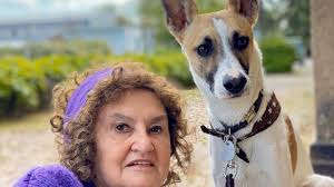 Nový film režiséra a kameramana františka a. Gump Pes Ktery Naucil Lidi Zit Skc Kurim