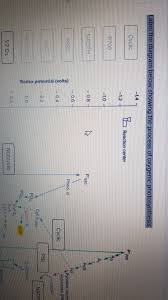 It would be impossible to overestimate the importance of photosynthesis in the maintenance of life on earth. Label The Diagram Below Showing The Process Of Chegg Com