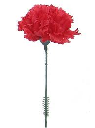 We did not find results for: Larksilk Red Silk Carnation Picks Artificial Flowers For Weddings Decorations Diy Decor 1000 Count Bulk 3 5 Carnation Heads With 5 Stems Buy Online In China At Desertcart 145978802