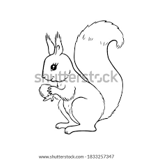 We found for you 15 pictures from the collection of red squirrel! Baby Squirrel Coloring Pages At Getdrawings Free Download