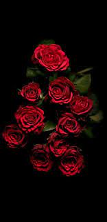 Finally, you can use all these features for free! Rose Wallpaper Wallpaper Sun