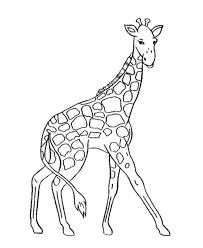 Free animal s cartoon rhino31ee. Giraffe Images For Kids Coloring Home