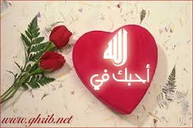 صورة