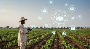 Consultant Partenariats Agricoles et Industriels – Sénégal