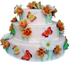 Image result for ‫تولد کارتونی بامزه‬‎