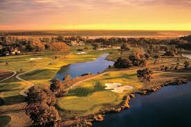 Image result for Oldfieldia