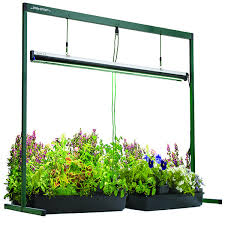 Jump Start Grow Light System With Timer National Garden Bureau In 2020 Grow Lights Building A Raised Garden Grow Light Fixtures