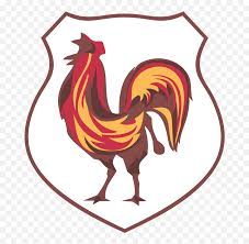 The french football federation have unveiled their brand new logo following their world cup success. 100 Years Old Full France Football Fff Logo History Team Logo Chicken Football Png Free Transparent Png Images Pngaaa Com