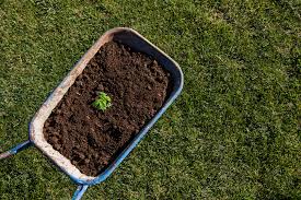 The best mulch for flowers is mixed tree mulch but whatever you have around your house will work including dry fall leaves. How Much Mulch Do You Need For Your Garden