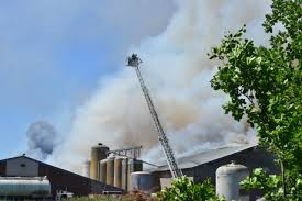 Iedereen heeft z'n vaste taken, maar we doen het samen. 4600 Varkens Omgekomen Door Brand In Stal In Nederweert Binnenland Telegraaf Nl