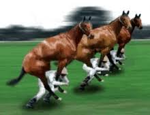 Funny Horse Gifs Tenor That`s why animated images like a happy birthday gif may. funny horse gifs tenor