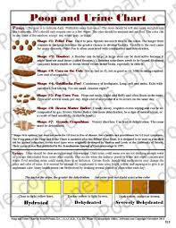 Monitor urinary frequency and water intake if consistently increased contact your veterinarian. Poop Urine Chart Dr Poane S Chiropractic Office