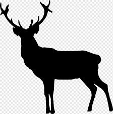Fold along all the fold lines. Deer Head Png Images Pngwing