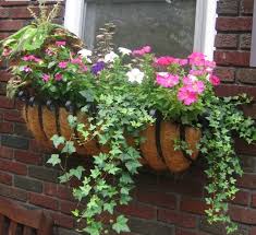 Italian manufacturers and suppliers of flower from around the world. Go European Chic With Wrought Iron Window Boxes And Hayrack Trough Planters Hooks Lattice Blog