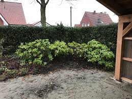 Bau Der Bigbbq Grill Remise Bigbbq De Remise Grillhutte Bau