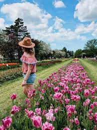 What do you think about all these people posing with your flowers? Where To Find The Best Flower Fields In Michigan Well Planned Adventures