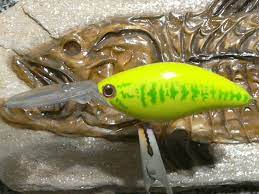 fossil paint lures heldermaia fish illustration lure making custom fishing lure