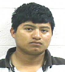 Traffic mishap led to arrests of seven illegals, one local citizen