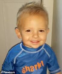 Colton Guay dies and another ill with E coli symptoms after petting farm  animals