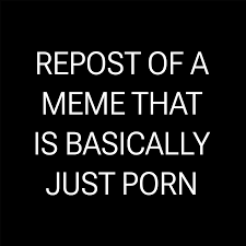 TITLE IGNORING THE OBVIOUS PORN IN THE MEME : rSUBREDDITNAME