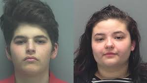 Lee County sheriff: Two arrested in Gateway vehicle burglaries