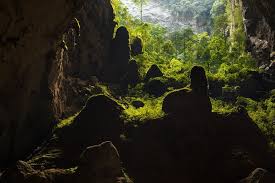 We did not find results for: Kham Pha Hang Ä'á»™ng á»Ÿ Quáº£ng Binh VÆ°Æ¡ng Quá»'c Cá»§a Gáº§n 300 Hang