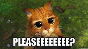 Find the newest pretty please meme meme. Pleaseeeeeeee Please Cat Meme Generator