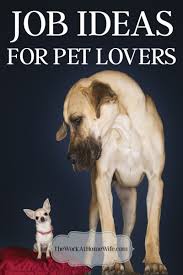 9 Spectacular Side Jobs Working With Animals Work With Animals Jobs With Animals Dog Business