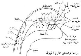 Tajwid Free Download Borrow And Streaming Internet Archive Quran Book Muslim Book Learn Quran