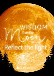 Theme Of The Week Nature Buddha Groove Light Quotes Buddhism Quote