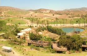 San Diego Wild Animal Park California Places To Visit Wild Animal Park San Diego Safari Park