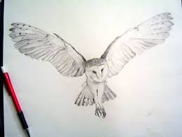 20 Amazing Owl Drawings In Different Mediums To Draw Barn Owl Tattoo Owl Tattoo Design Owls Drawing
