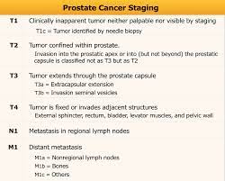 01.06.2021 · all men with an abnormal mri received a prostate biopsy. The Radiology Assistant Prostate Cancer Pi Rads V2
