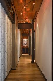 home track lighting houzz