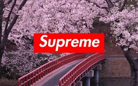 We did not find results for: 1555 Supreme Wallpaper Android Iphone Desktop Hd Backgrounds Wallpapers 1080p 4k Hd Wallpapers Desktop Background Android Iphone 1080p 4k 1080x675 2021