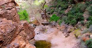 Check spelling or type a new query. Box Bar Campground Tonto Az 1 Hipcamper Review