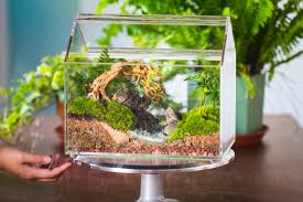 Handmade Water Tight, Sealed, Enclosed, House Acrylic Terrarium, Fish Tank,  Moss Fern Terrarium Paludarium Vivarium, 2 Lid With Vent - Etsy