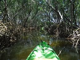 Licensed & insured kayak rentals out of tampa bay, fl. Weedon Island Kayaking Trails St Petersburg Fl Map 40 Photos Paddleflorida Net