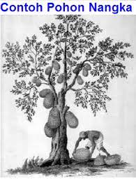 2 contoh psikotes gambar pohon berkambium yang benar. Contoh Psikotes Gambar Pohon Yang Baik Dan Benar Penjelasan