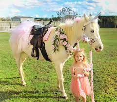 We can bring a large pony which will carry up to 150lbs. Hire Shaky Tail S Party Animals Pony Party In Fayetteville North Carolina